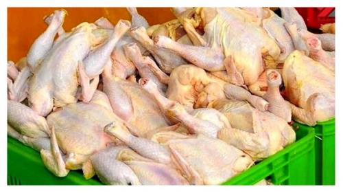 گوشت مرغ در میادین تره بار ۱۸ درصد ارزان تر عرضه می شود