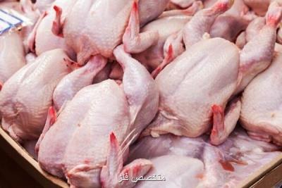 واردات ۵۰ هزار تن گوشت مرغ به گمرك ابلاغ گردید
