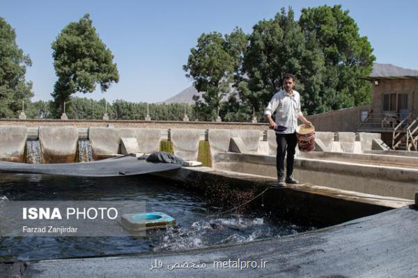 اینجا نفس آبزی پروری به شماره افتاده است!