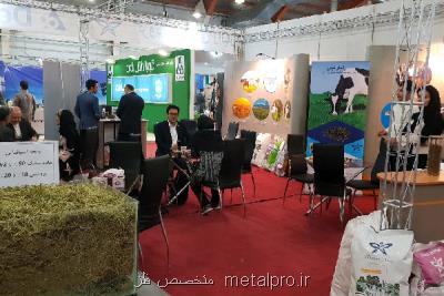 نمایشگاه دام و طیور به تشکل های بخش کشاورزی واگذار شود نمایشگاه دام و طیور به تشکل های بخش کشاورزی واگذار شود