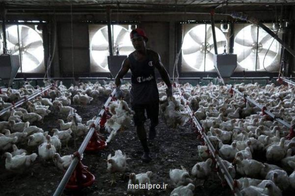 راه حل مالزی برای کنترل افزایش قیمت مواد غذایی