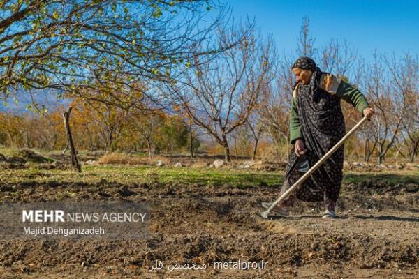 تخفیف ۵۰ درصدی آب بها برای رعایت کنندگان الگوی کشت