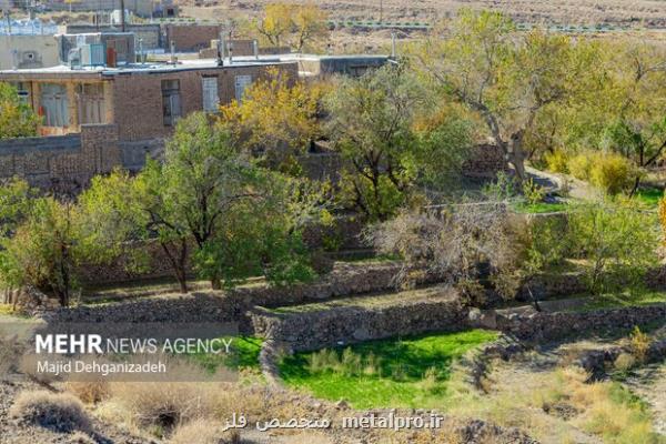ممنوعیت مصرف فرآورده های بدون مجوز هورمون ها