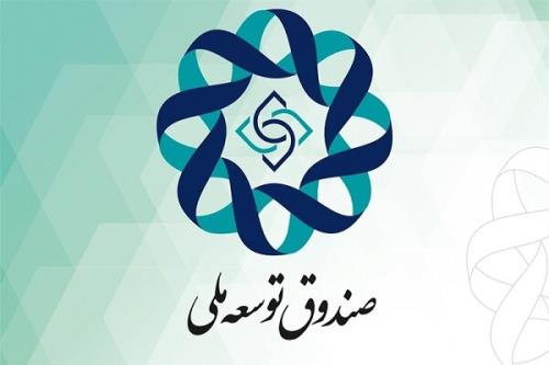 طلب 1 و دو دهم میلیارد دلاری صندوق توسعه ملی از نیروگاه ها