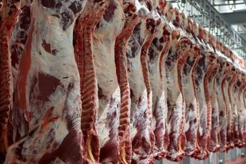 تولید گوشت قرمز در مهر 2 درصد کاهش یافت