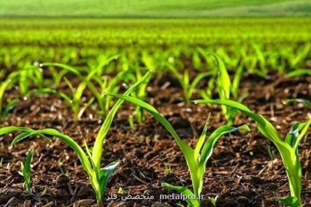 تحقق کشاورزی قراردادی در بیشتر از 2 میلیون هکتار از اراضی کشور