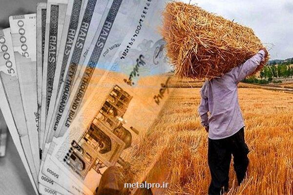 پرداخت بموقع مطالبات گندم کاران در شورای اقتصاد پیگیری می شود