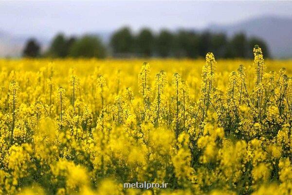 موافقت مجلس با مطالعه و تفحص از عملکرد وزارت جهاد کشاورزی