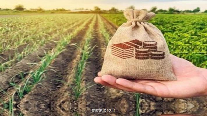 صندوق های حمایت بخش کشاورزی با تزریق منابع تقویت می شوند