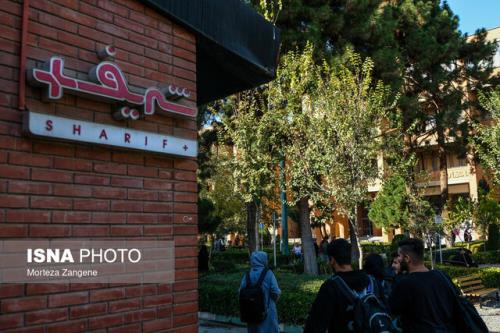 حدود ۷۰۰ فرصت شغلی در انتظار دانشجویان و دانشگاه آموختگان شریف