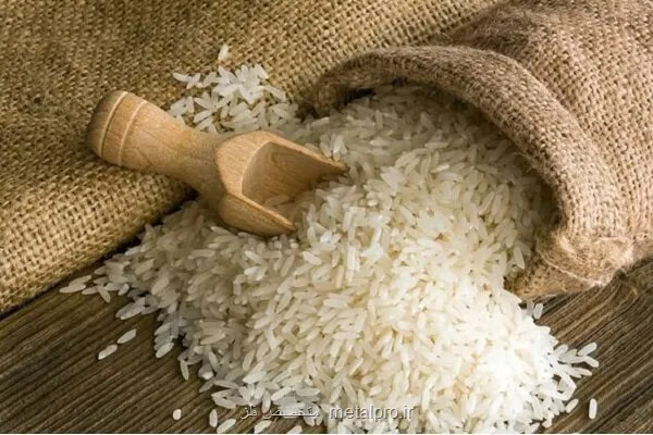 افزایش قیمت برنج در آبان 1404