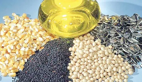 آغاز ثبت سفارش دانه های روغنی