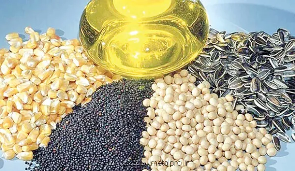 آغاز ثبت سفارش دانه های روغنی