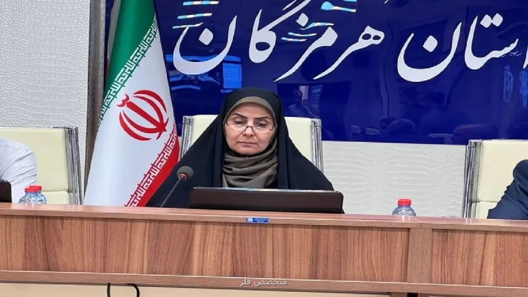 بسیج تمام ظرفیتهای لجستیکی کشور برای عرضه خدمات مطلوب در اربعین 1405