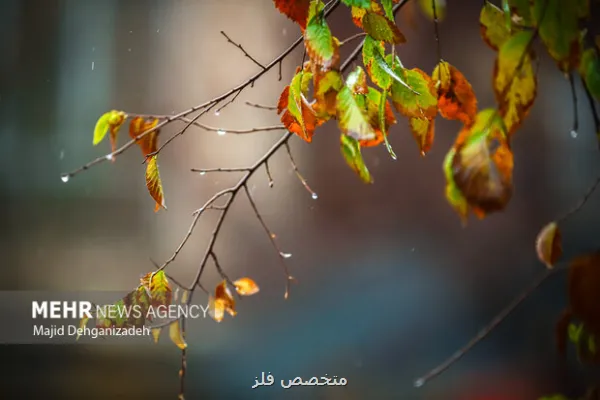 علت تغییر ناگهانی بارندگی ها چیست؟ احتمال بارشهای فراتر از نرمال پاییز