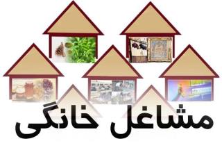 ایجاد 42 هزار شغل روستایی جدید در بخش خانگی