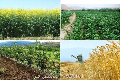 222 هزار كشاورز درخواست كمك بلاعوض ارائه دادند