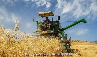 نرخ پیشنهادی خرید تضمینی گندم 2500 تومان