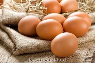 ضرورت افزایش سرانه مصرف تخم مرغ به 16 كیلوگرم