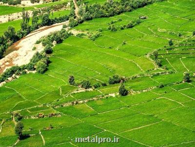 ضرورت استفاده ایران از كشاورزی فرا سرزمینی