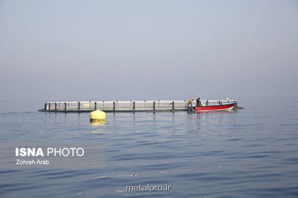 طرح تشكیل تعاونی روستاهای ساحلی برای اجرای طرح های پرورش ماهی در دریا